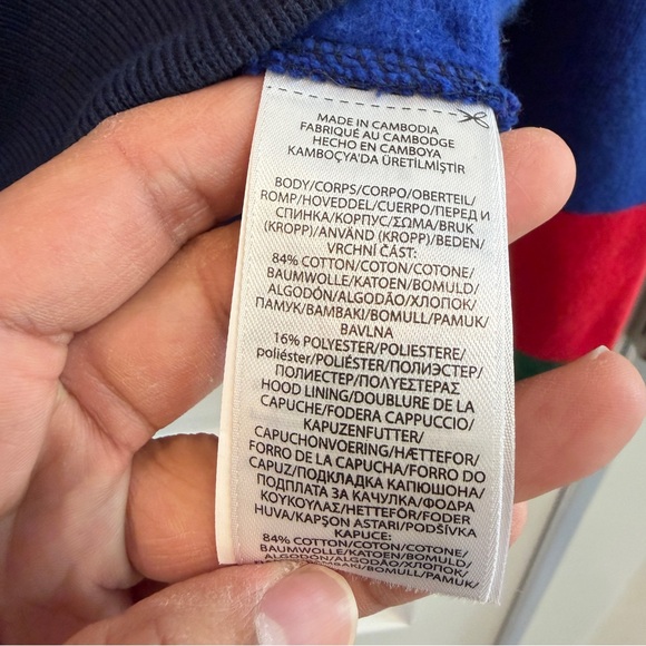 Polo Ralph Lauren Men's Multicolor Bold Striped Cotton Fleece Lined Hoodie sz M - Picture 12 of 15